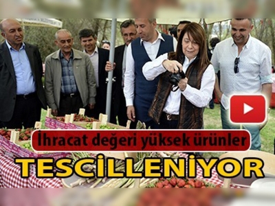 Kuşkonmaz hasadı şenliği