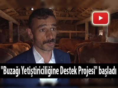 Buzağı yetiştiricileri devlet desteğinden memnun 