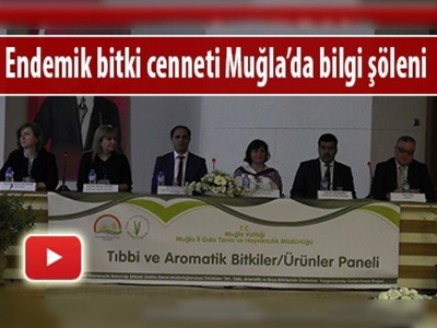 Tıbbi ve aromatik bitki paneli