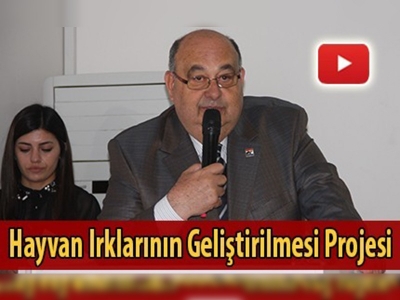 Suni tohumlama ile hayvan ırkı gelişecek