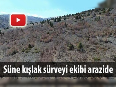 Kayseri'de süne kışlak sürveyi