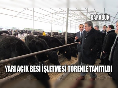 Karabük'te örnek besi işletmesi