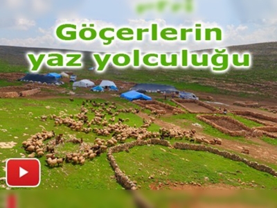 Havalar ısındı göçerler yola çıktı