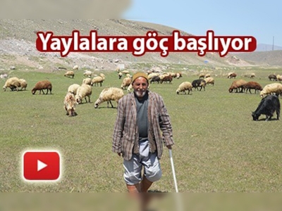 Baharın gelişiyle besicilerin yüzü güldü