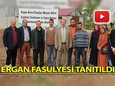 Ergan fasulyesi tanıtıldı