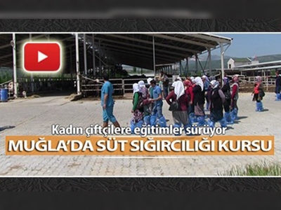 Muğla'da süt sığırcılığı kursu