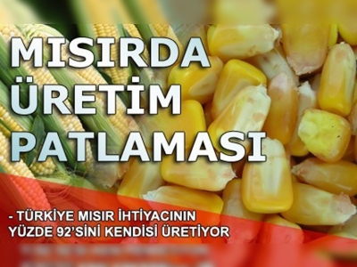 Mısır üretimi ikiye katlandı