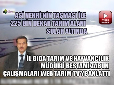 Amik Ovası'nda 225 bin dekar tarım alanı sular altında