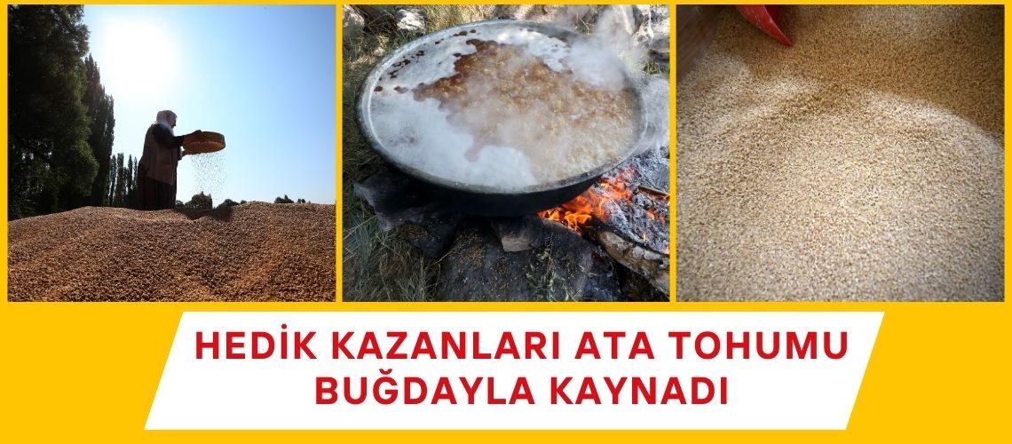 Hedik kazanları ata tohumu buğdayla kaynadı