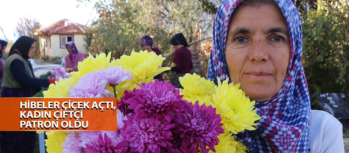 Hibeler çiçek açtı, kadın çiftçi patron oldu