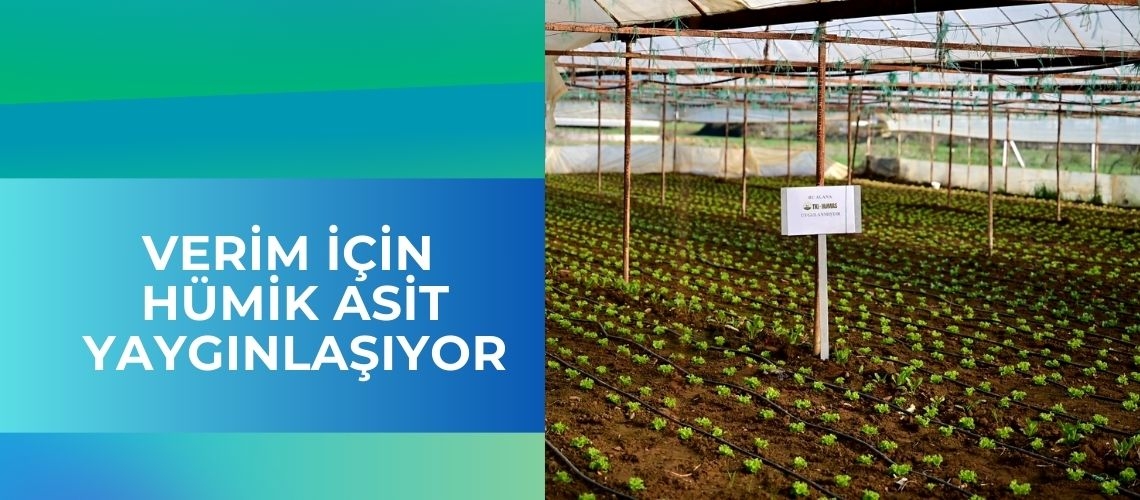 Verim için hümik asit yaygınlaşıyor