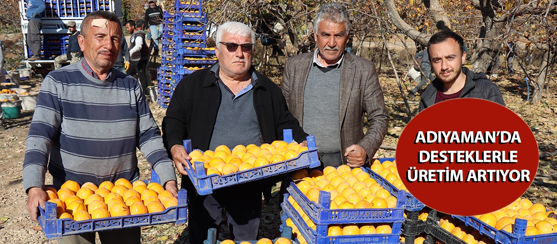 Adıyaman’da desteklerle üretim artıyor