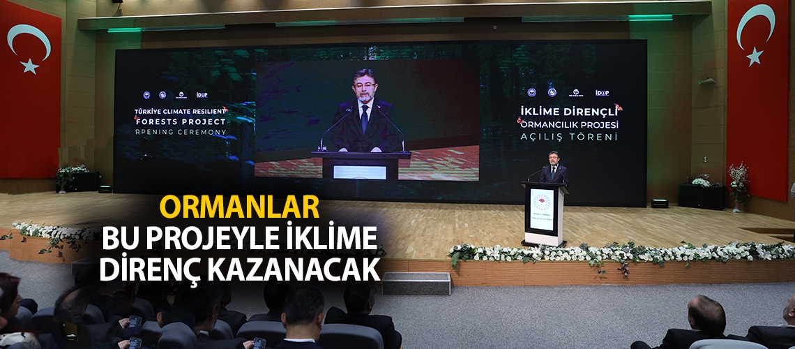 Ormanlar bu projeyle iklime direnç kazanacak