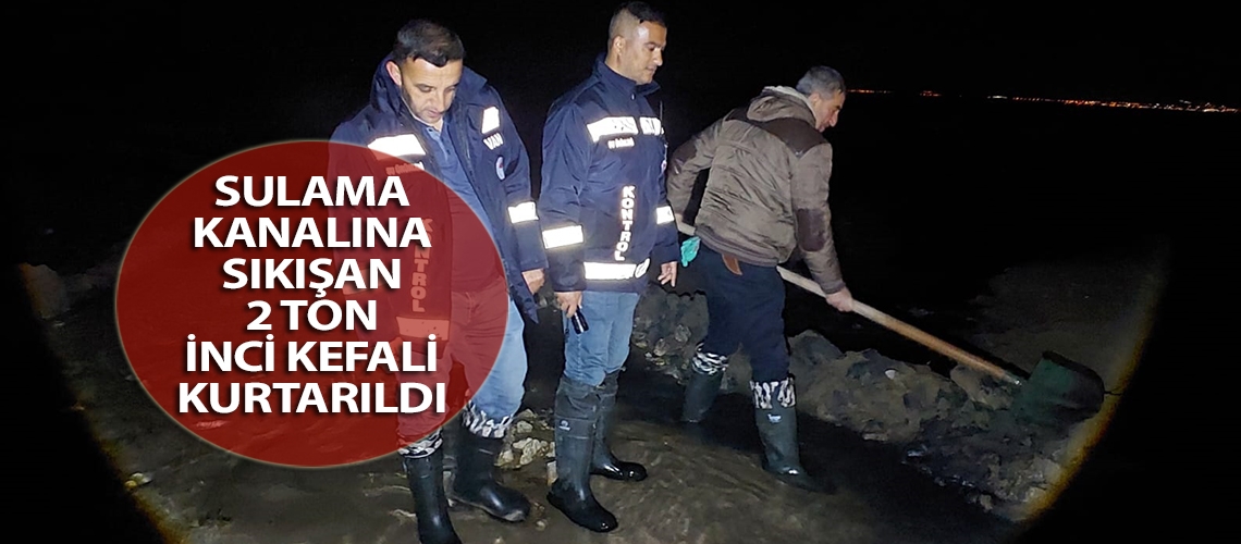 Sulama kanalına sıkışan 2 ton inci kefali kurtarıldı