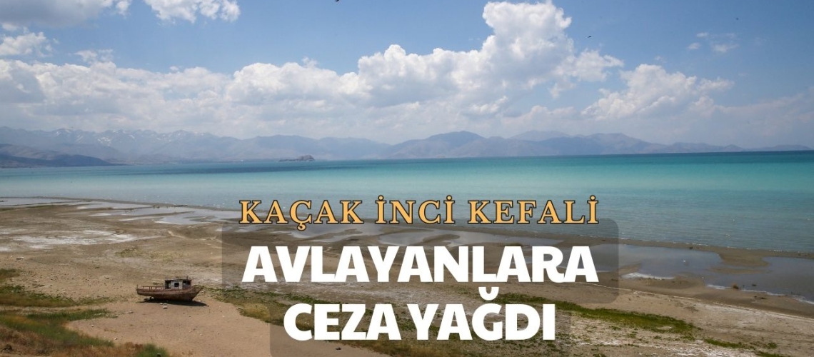 Kaçak inci kefali avlayanlara ceza yağdı