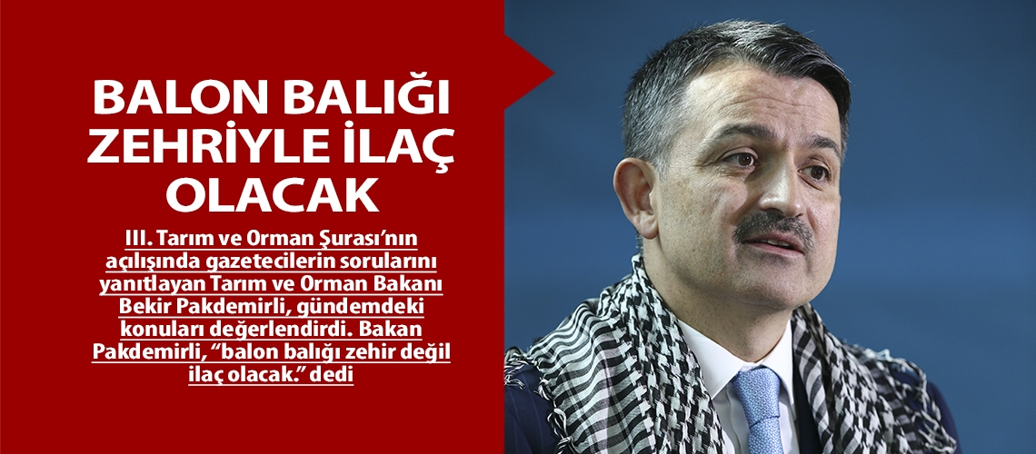 Balon balığı zehriyle ilaç olacak