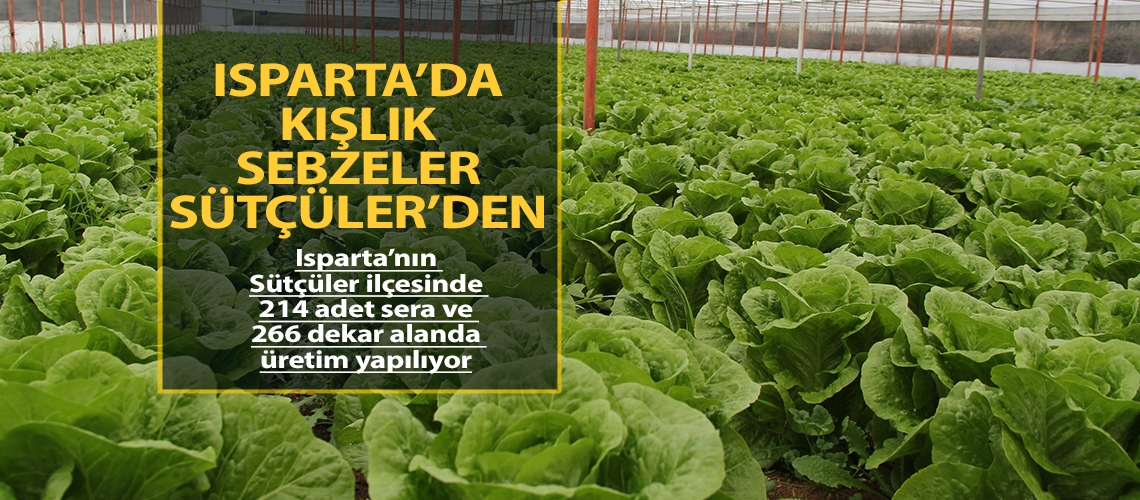 Kışın sebzeler Sütçüler ilçesinden