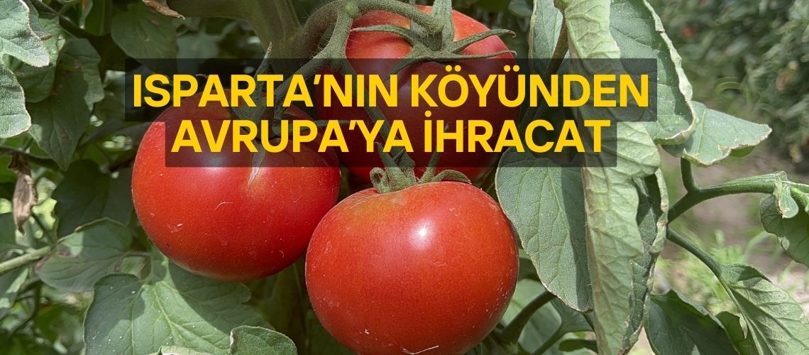 Isparta’nın köyünden Avrupa’ya ihracat