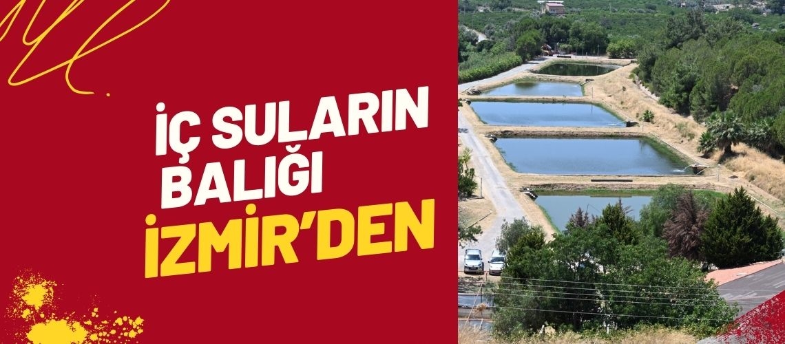 İç suların balığı İzmir’den