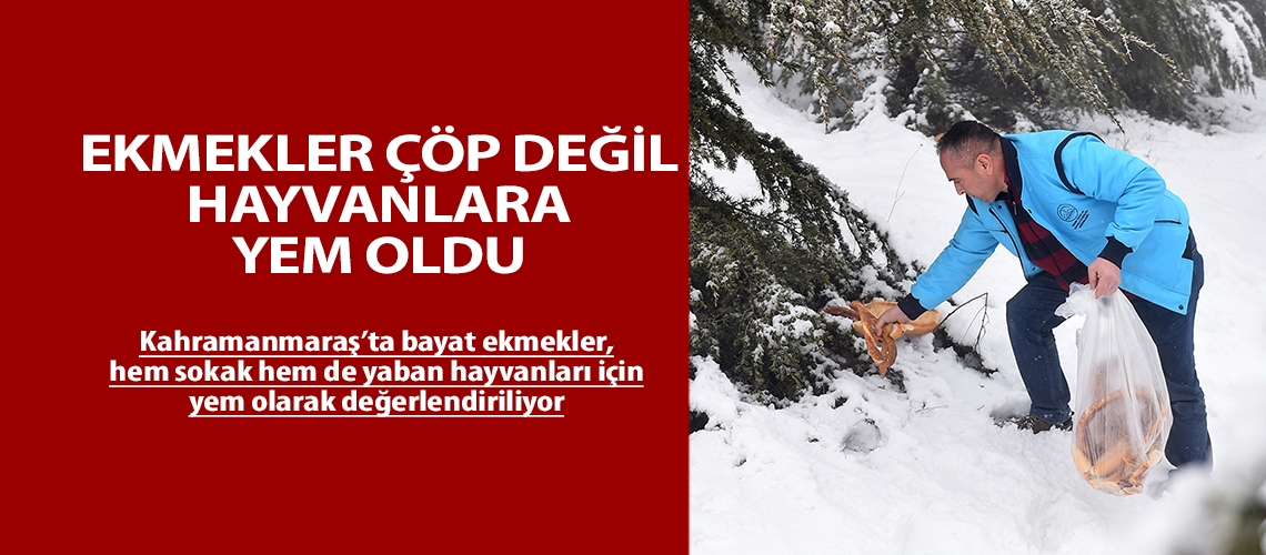 Ekmekler çöp değil hayvanlara yem oldu