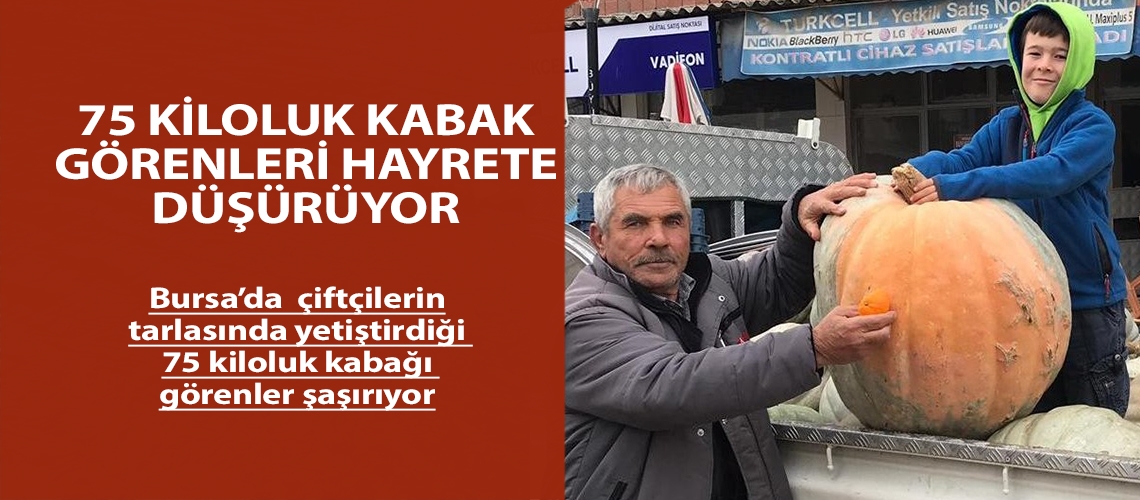 75 kiloluk kabak görenleri hayrete düşürüyor