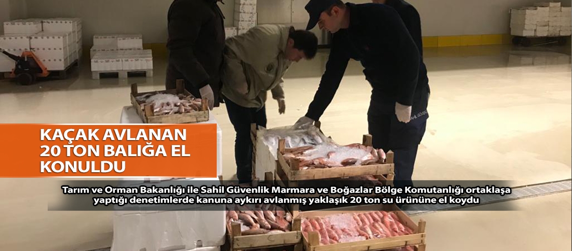 Kaçak avlanan 20 ton balığa el konuldu