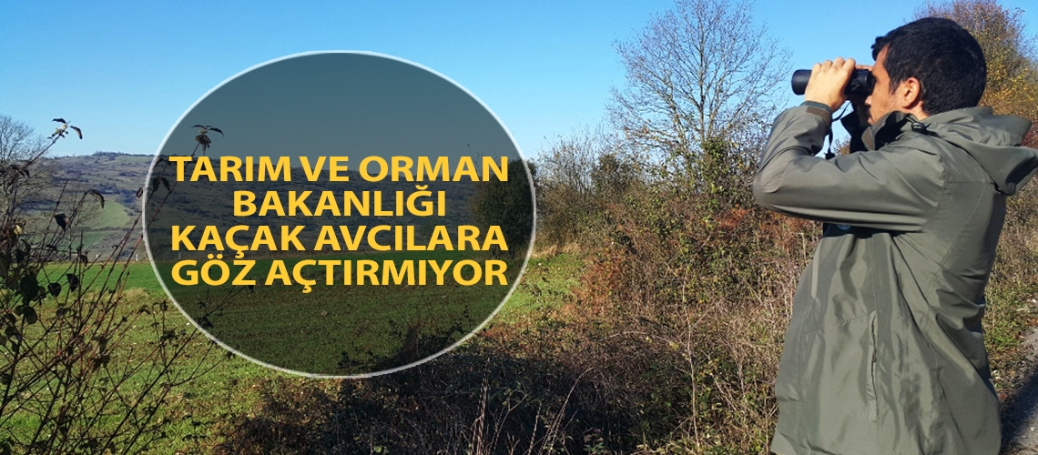 Tarım ve Orman Bakanlığı kaçak avcılara göz açtırmıyor