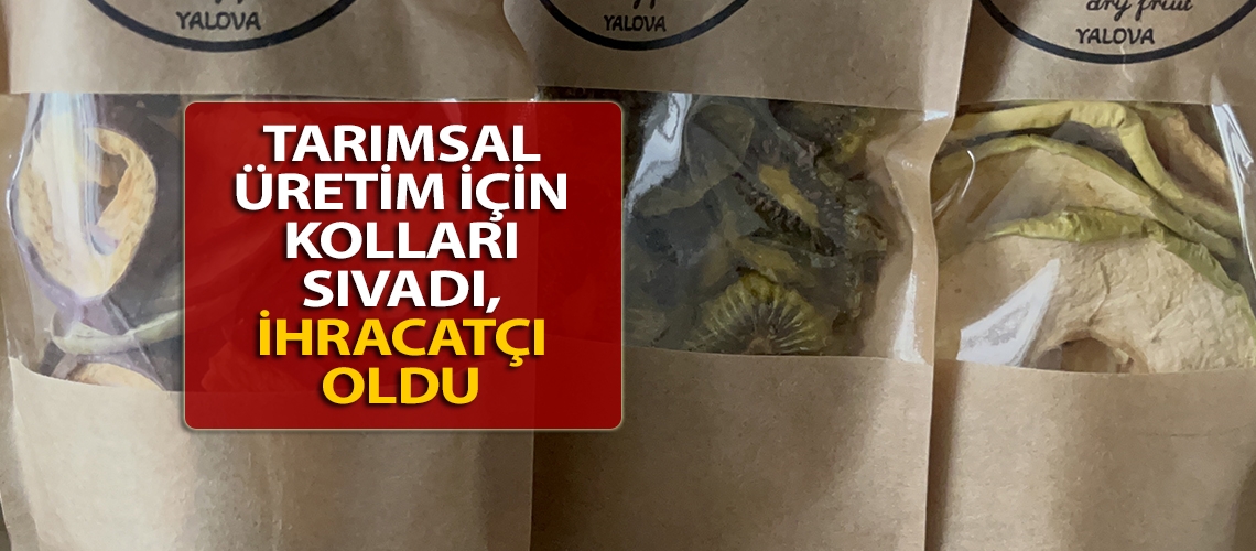 Tarımsal üretim için kolları sıvadı, ihracatçı oldu