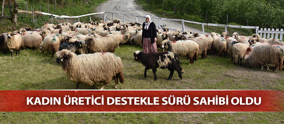 Kadın üretici destekle sürü sahibi oldu