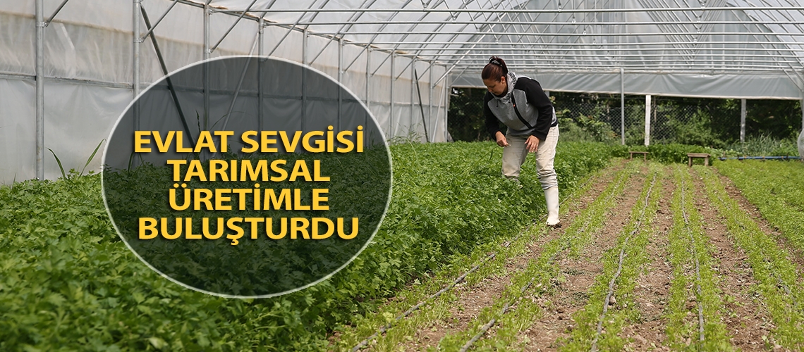 Evlat sevgisi tarımsal üretimle buluşturdu