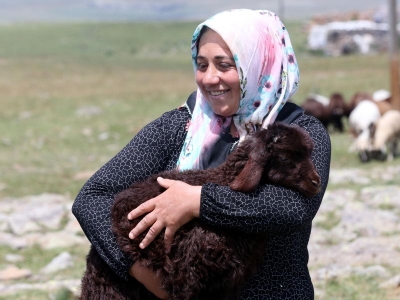 Ardahan’da hayvancılık kadın girişimiyle güçleniyor