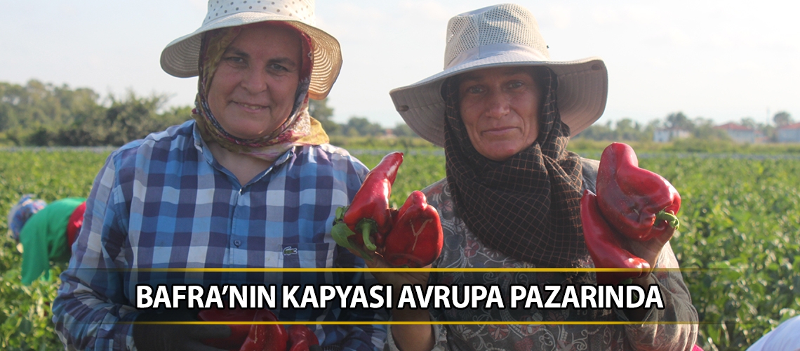 Bafra’nın kapyası Avrupa pazarında