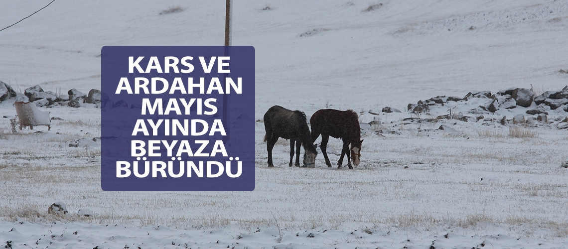 Kars ve Ardahan mayıs ayında beyaza büründü