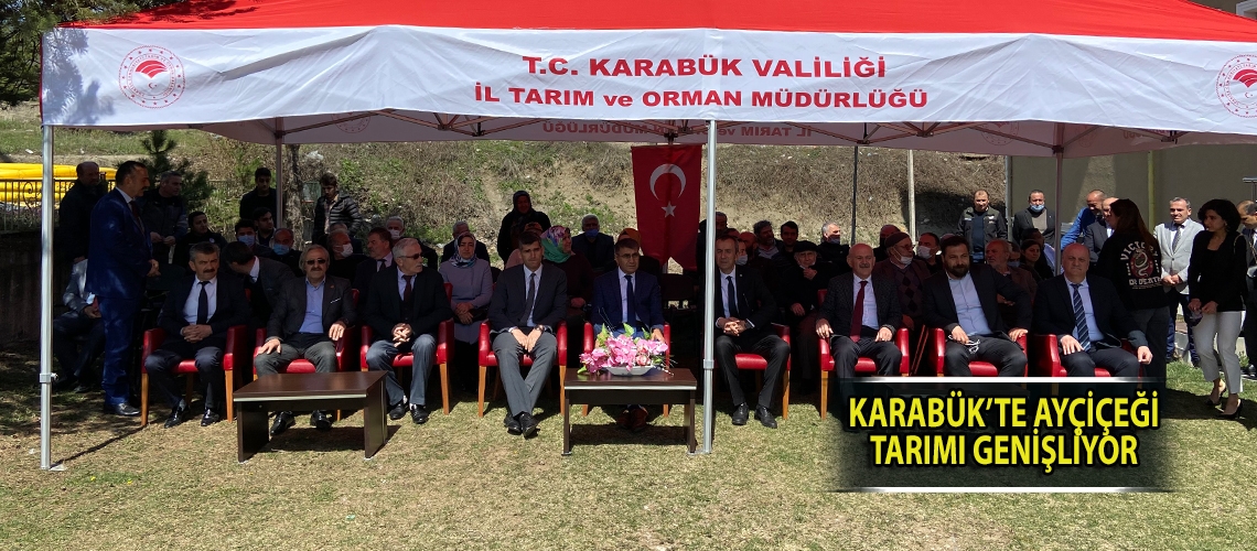 Karabük’te ayçiçeği tarımı genişliyor