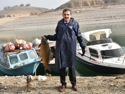 Karakaya Baraj Gölü’nde avlanan balıklar ihraç ediliyor