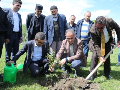 Nar yeniden Kağızman’dan ısmarlanacak