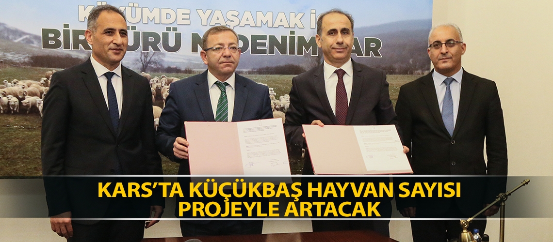 Kars’ta küçükbaş hayvan sayısı projeyle artacak