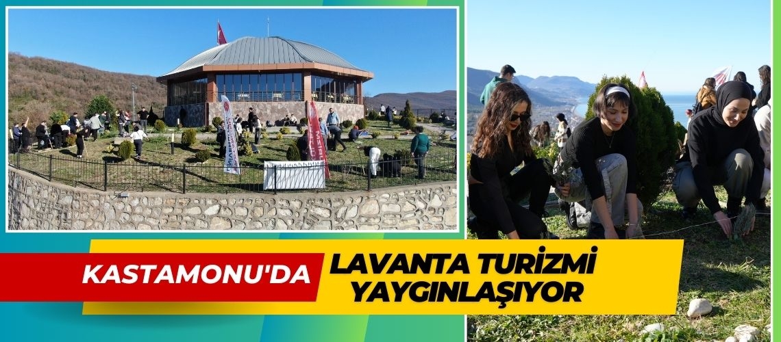 Kastamonu'da lavanta turizmi yaygınlaşıyor