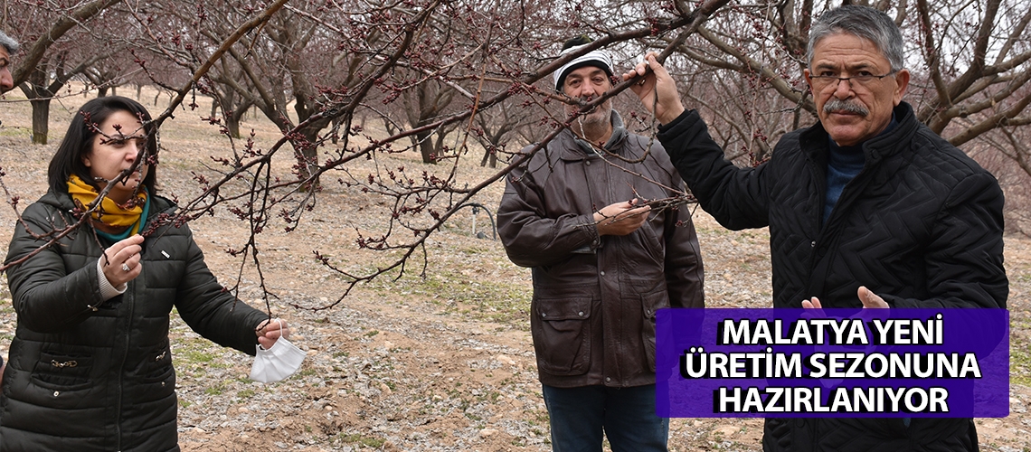 Malatya yeni üretim sezonuna hazırlanıyor