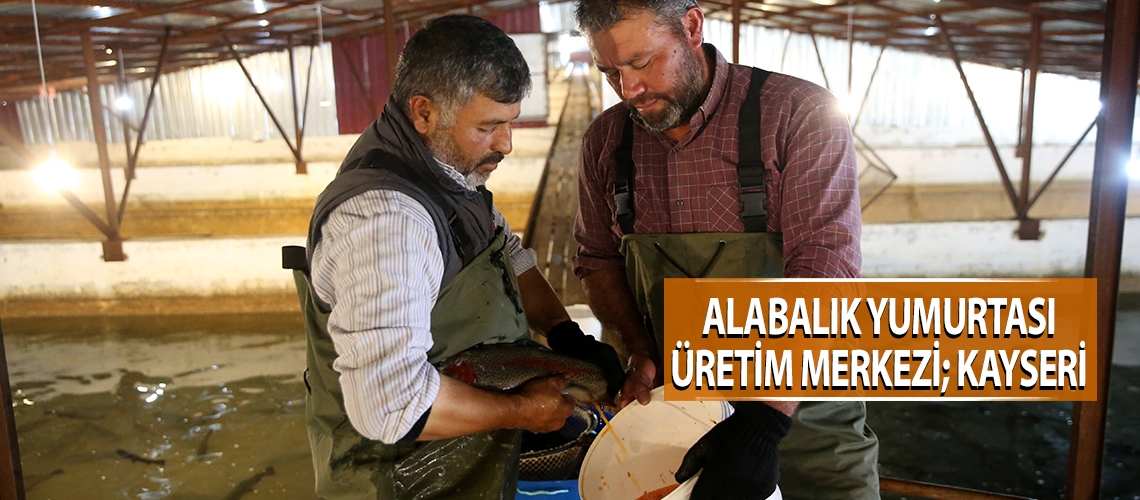 Alabalık yumurtası üretim merkezi; Kayseri