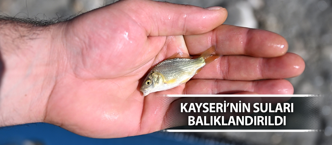 Kayseri’nin suları balıklandırıldı