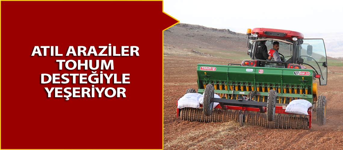 Atıl araziler tohum desteğiyle yeşeriyor