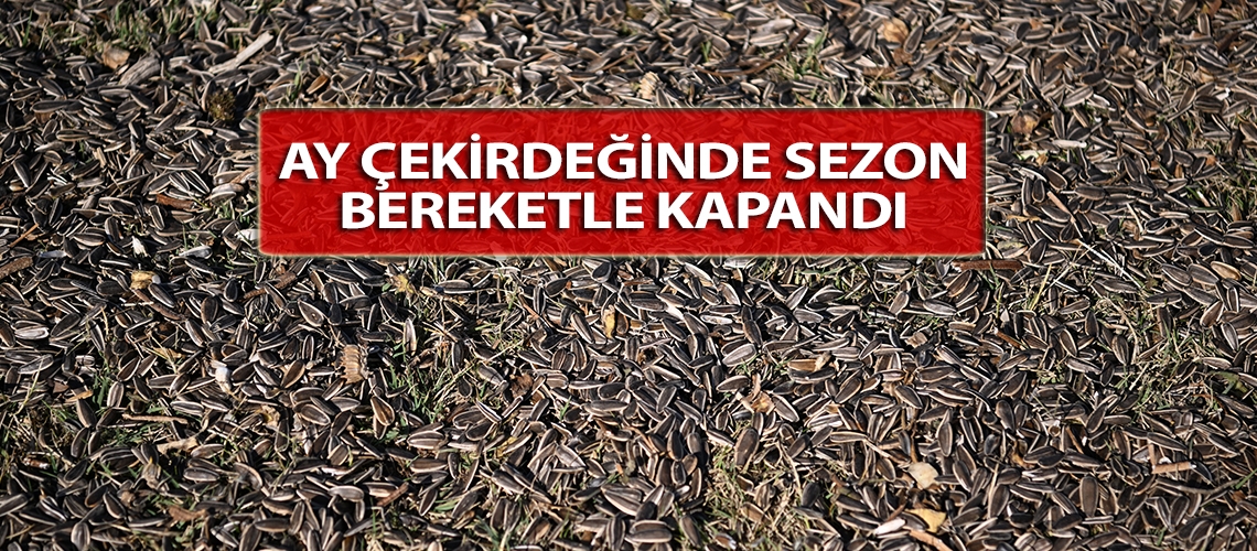 Ay çekirdeğinde sezon bereketle kapandı