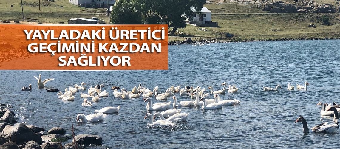 Yayladaki üretici geçimini kazdan sağlıyor