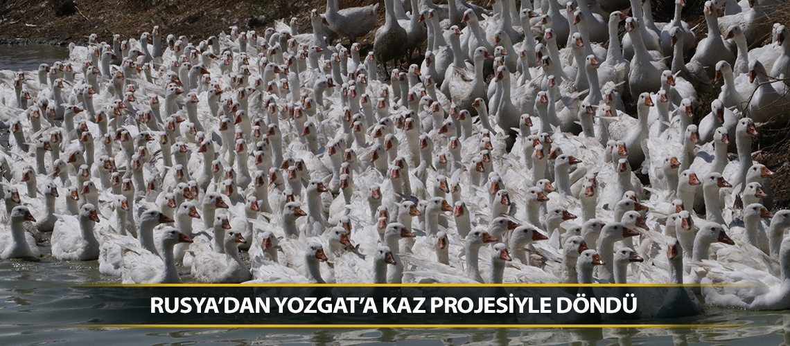 Rusya’dan Yozgat’a kaz projesiyle döndü