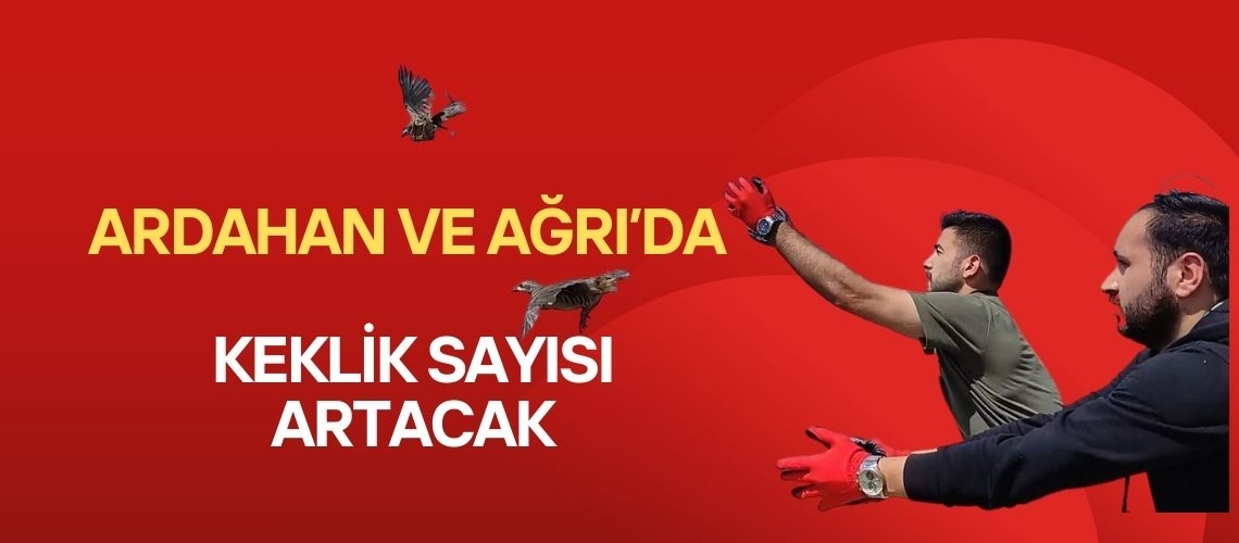 Ardahan ve Ağrı’da keklik sayısı artacak