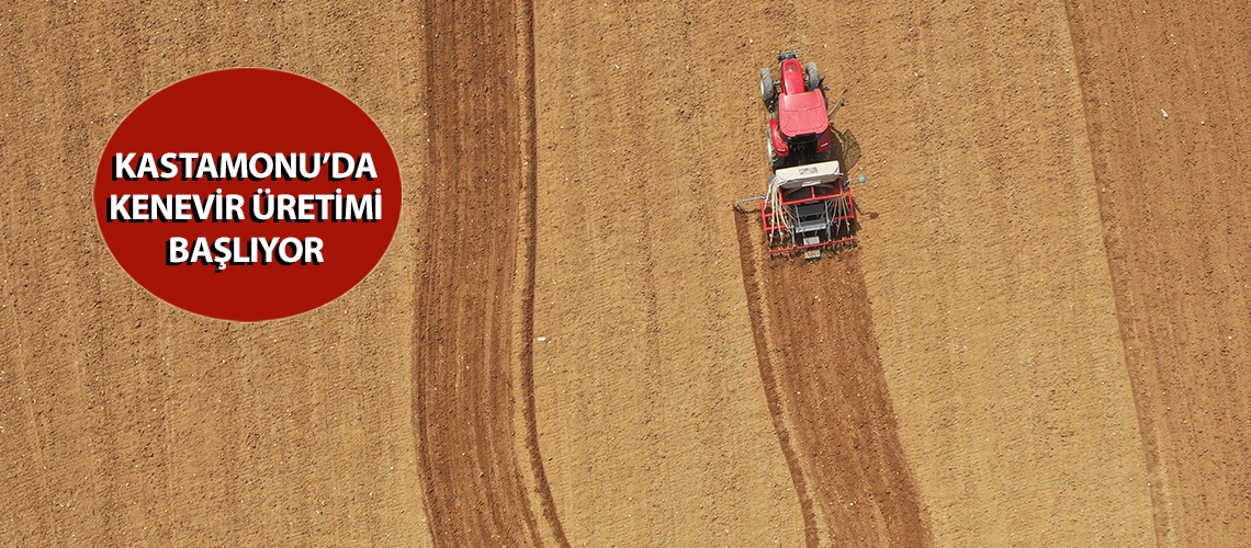 Kastamonu’da kenevir üretimi başlıyor