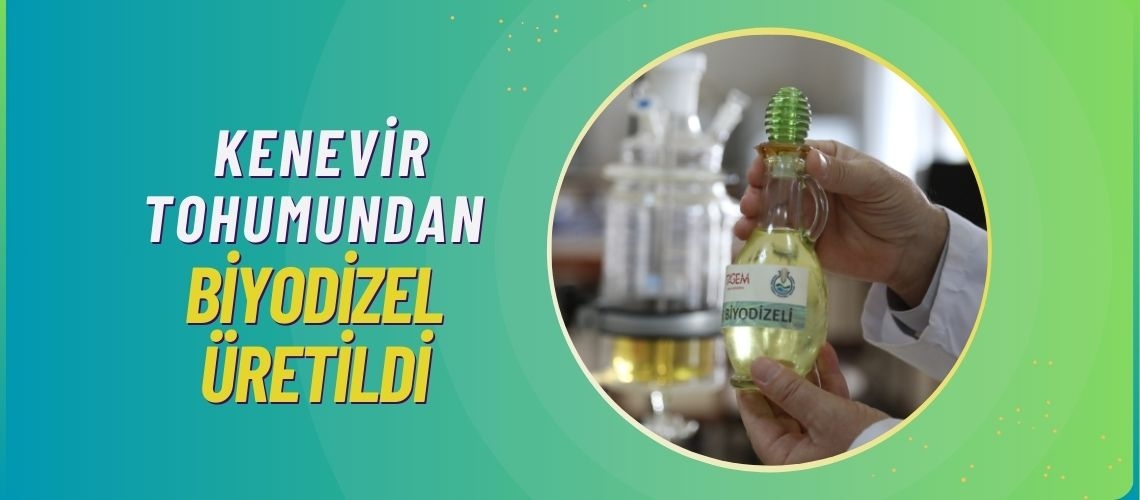 Kenevir tohumundan biyodizel üretildi