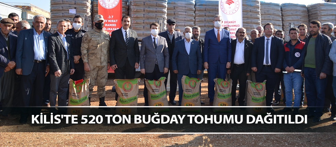 Kilis'te 520 ton buğday tohumu dağıtıldı