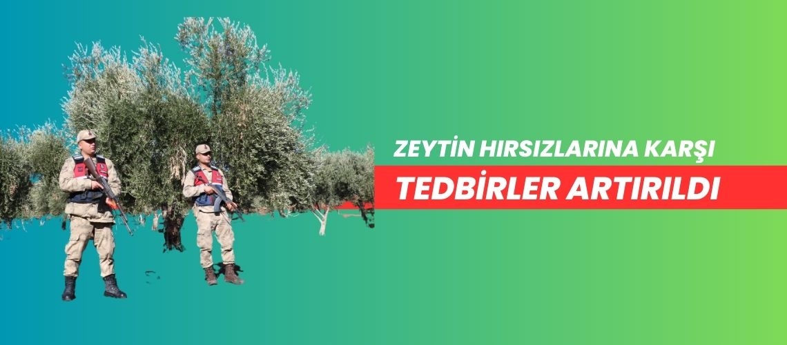 Zeytin hırsızlarına karşı tedbirler artırıldı